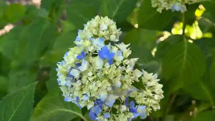 善光寺(山形県)