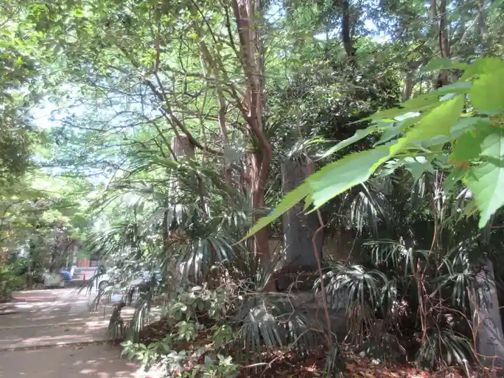 普門院(東京都)