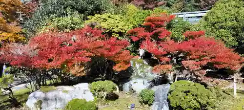 醍醐寺(京都府)