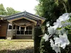 伊比井神社の本殿