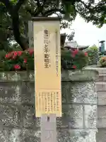 金藏院の{uncategorized: "未分類", other: "その他", undefined: "問題あり", building: "その他建物", grave: "お墓", sacred_gate: "鳥居", guardian: "狛犬", statue: "像", buddha: "仏像", history: "歴史", nature: "自然", garden: "庭園", animal: "動物", pagoda: "塔", temizu: "手水舎", mountain_gate: "山門・神門", sanctuary: "本殿・本堂", subordinate: "末社・摂社", art: "芸術", scenery: "景色", jizo: "地蔵", ema: "絵馬", goshuin: "御朱印", omikuji: "おみくじ", items: "授与品その他", amulet: "お守り", goshuincho: "御朱印帳", eats: "食事", festival: "お祭り", votive_dance: "神楽", shichigosan: "七五三参", wedding: "結婚式", experience: "体験その他", initially: "初詣", around: "周辺", anti_infection: "感染症対策"}