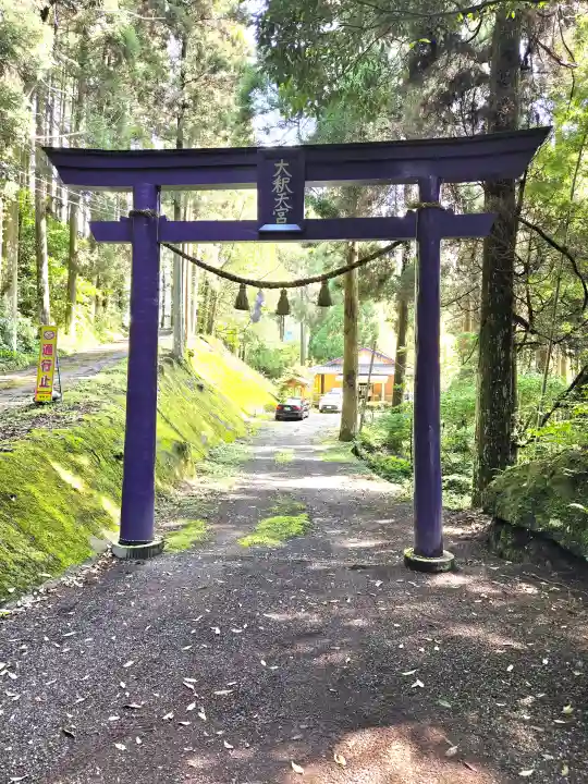大釈天宮の{uncategorized: "未分類", other: "その他", undefined: "問題あり", building: "その他建物", grave: "お墓", sacred_gate: "鳥居", guardian: "狛犬", statue: "像", buddha: "仏像", history: "歴史", nature: "自然", garden: "庭園", animal: "動物", pagoda: "塔", temizu: "手水舎", mountain_gate: "山門・神門", sanctuary: "本殿・本堂", subordinate: "末社・摂社", art: "芸術", scenery: "景色", jizo: "地蔵", ema: "絵馬", goshuin: "御朱印", omikuji: "おみくじ", items: "授与品その他", amulet: "お守り", goshuincho: "御朱印帳", eats: "食事", festival: "お祭り", votive_dance: "神楽", shichigosan: "七五三参", wedding: "結婚式", experience: "体験その他", initially: "初詣", around: "周辺", anti_infection: "感染症対策"}