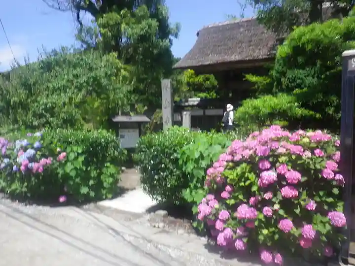 極楽寺(霊鷲山感應院極楽律寺)の自然