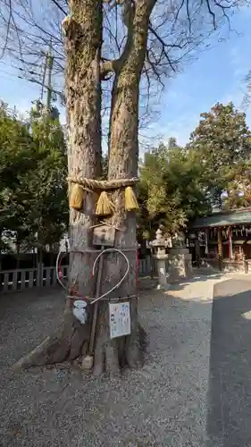 小汐井神社(滋賀県)