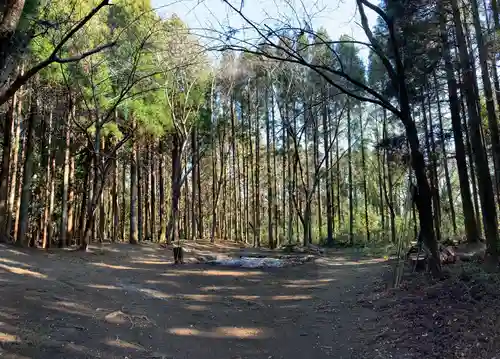 箱根神社の周辺