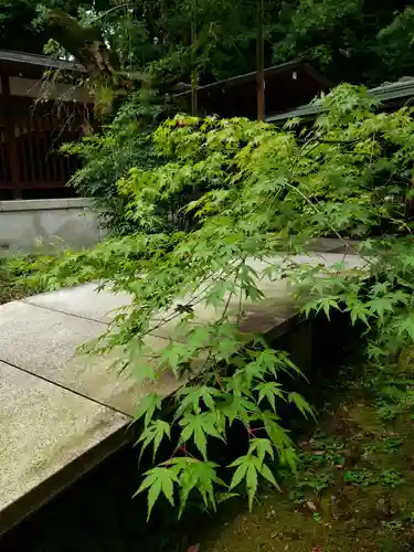乃木神社の自然