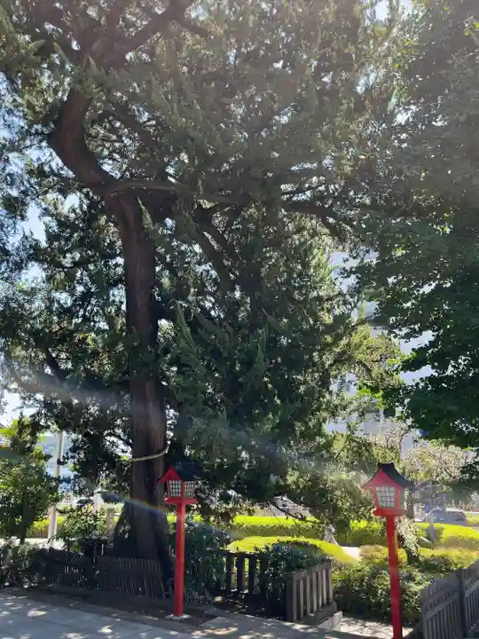 瀬戸神社(神奈川県)