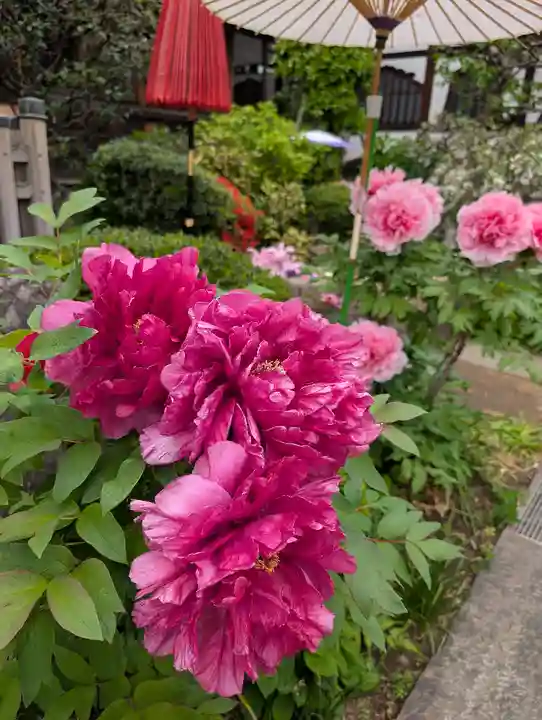 一乗寺(東京都)