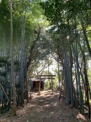 諏訪大神(千葉県)