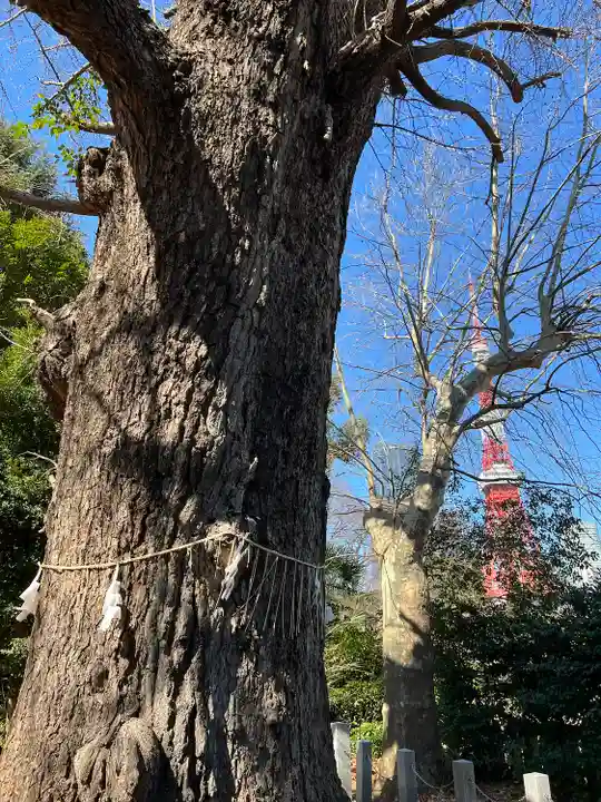 芝東照宮の自然