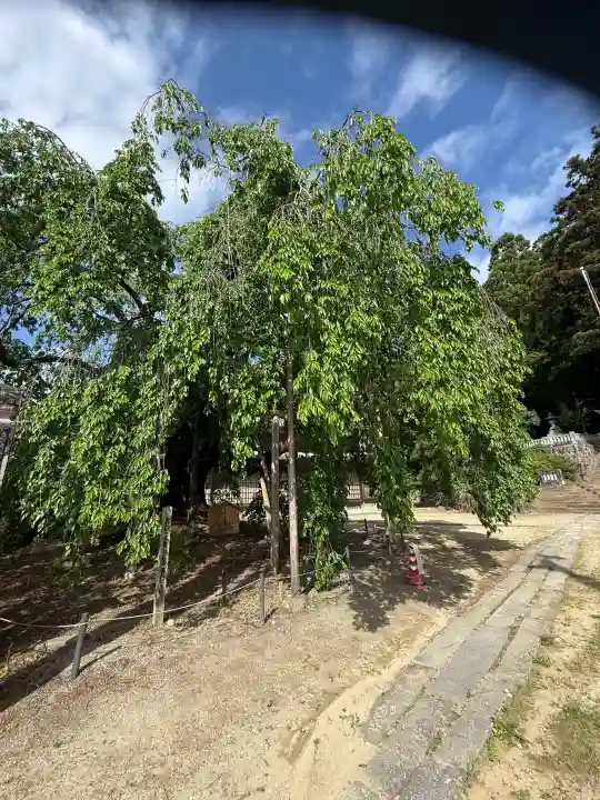 麻績神社(長野県)