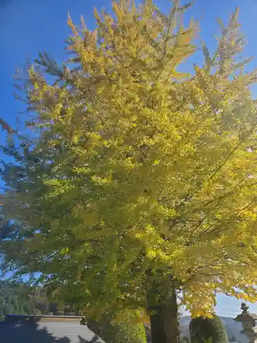 御嶽山神社の自然