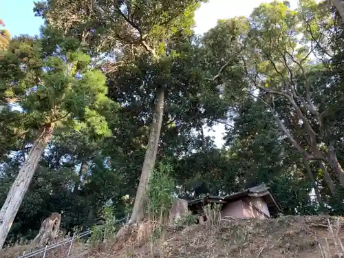 妙見神社の自然