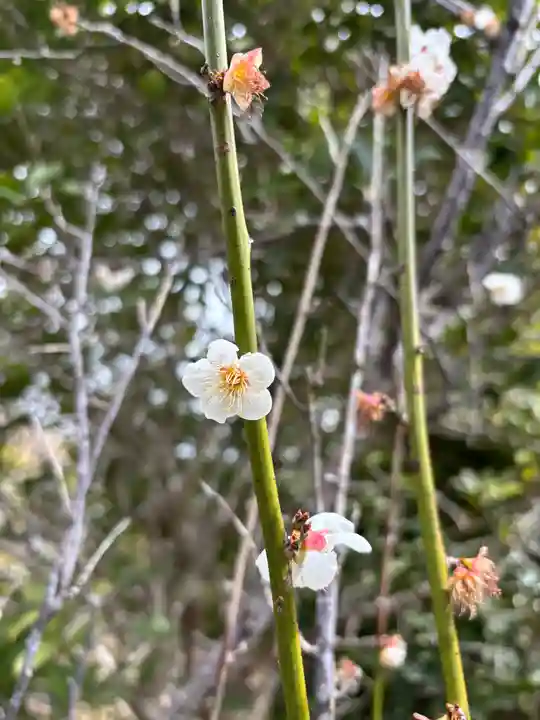 清勝寺(兵庫県)