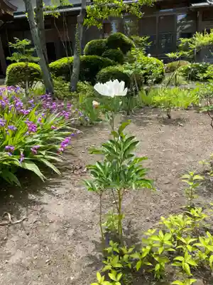 光寿院(宮城県)