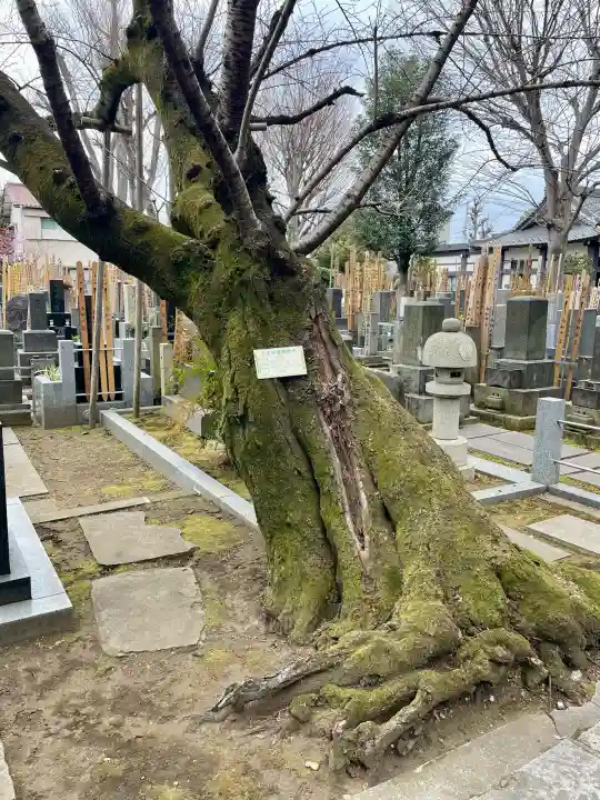 大林寺の{uncategorized: "未分類", other: "その他", undefined: "問題あり", building: "その他建物", grave: "お墓", sacred_gate: "鳥居", guardian: "狛犬", statue: "像", buddha: "仏像", history: "歴史", nature: "自然", garden: "庭園", animal: "動物", pagoda: "塔", temizu: "手水舎", mountain_gate: "山門・神門", sanctuary: "本殿・本堂", subordinate: "末社・摂社", art: "芸術", scenery: "景色", jizo: "地蔵", ema: "絵馬", goshuin: "御朱印", omikuji: "おみくじ", items: "授与品その他", amulet: "お守り", goshuincho: "御朱印帳", eats: "食事", festival: "お祭り", votive_dance: "神楽", shichigosan: "七五三参", wedding: "結婚式", experience: "体験その他", initially: "初詣", around: "周辺", anti_infection: "感染症対策"}