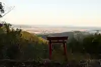 地主神社(桑の川の鳥居杉)(高知県)