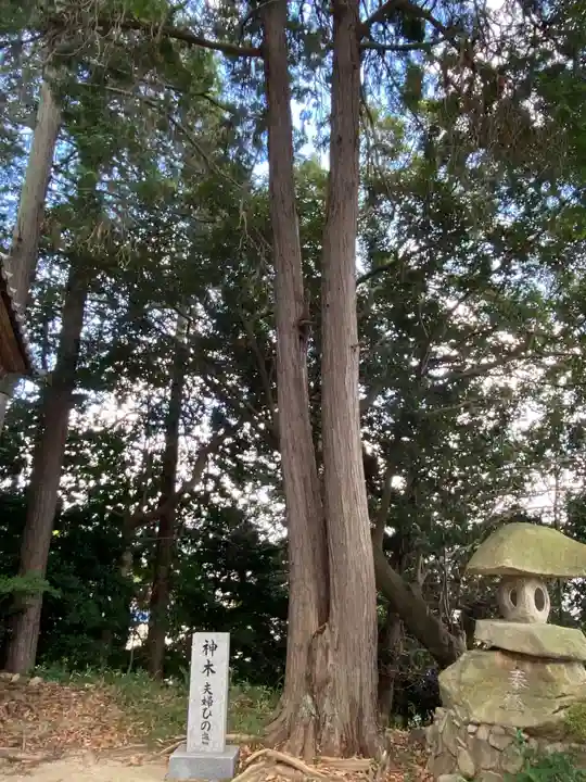 新羅神社(広島県)