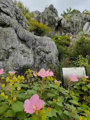 金生山 明星輪寺の自然