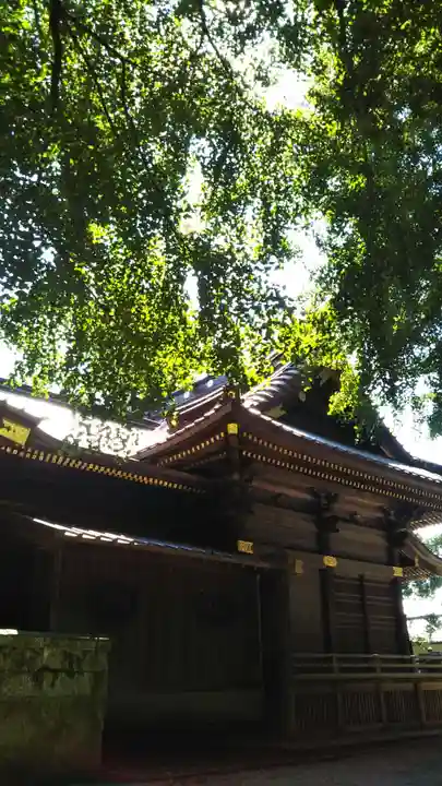 玉敷神社の本殿・本堂