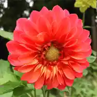 豊景神社の自然