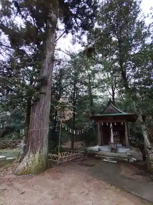 唐﨑神社の自然