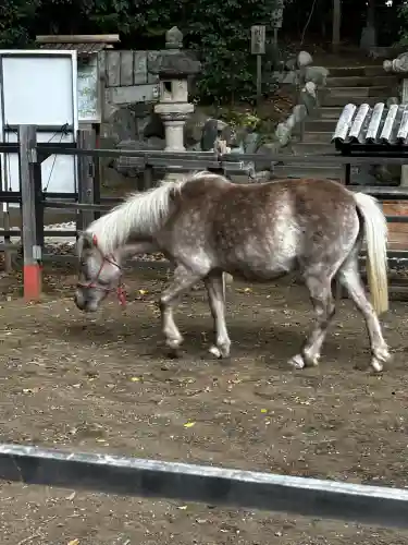 平塚八幡宮(神奈川県)