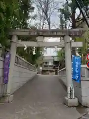 幡ケ谷氷川神社の鳥居