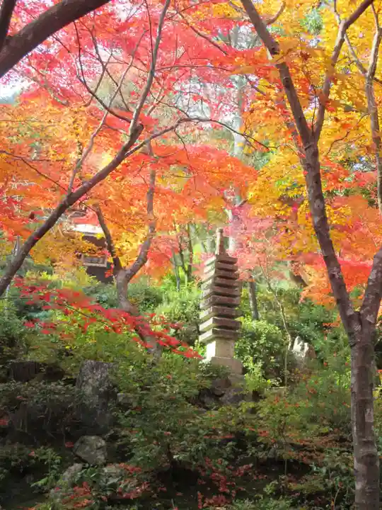 常寂光寺(京都府)