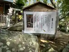 自凝島神社(兵庫県)