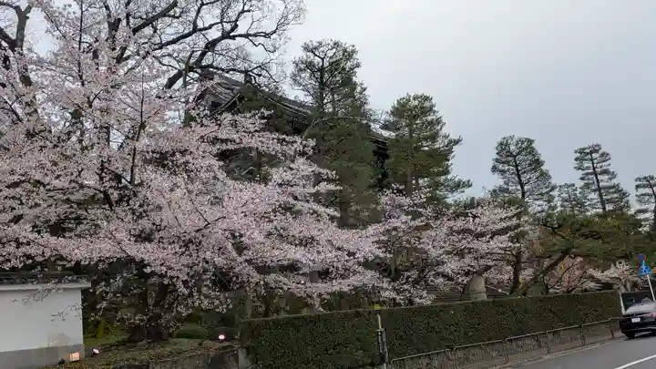 知恩院(京都府)