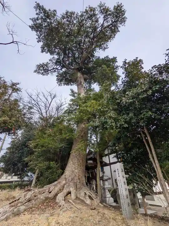 立石神社(香川県)