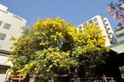 蔵前神社(東京都)