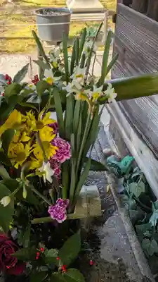 勝林寺(京都府)