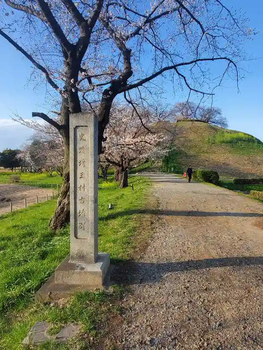 前玉神社(埼玉県)