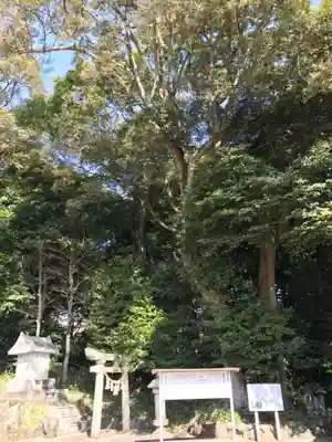 火男火賣神社(下宮)(大分県)