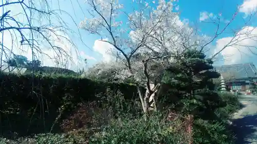 香勝寺(静岡県)