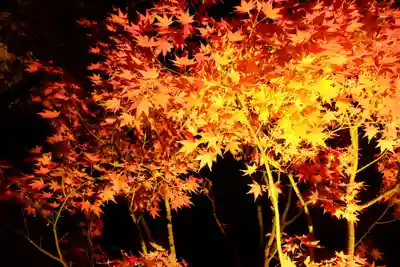 長谷寺(神奈川県)