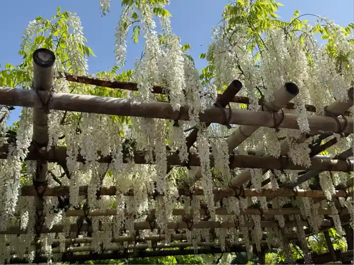 観音山慈眼院(高崎観音)(群馬県)