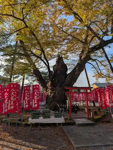 秩父今宮神社(埼玉県)