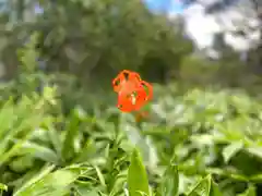 山家神社奥宮の自然