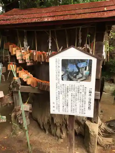 胎安神社のその他建物