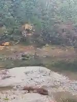 天河大辨財天社禊殿(奈良県)