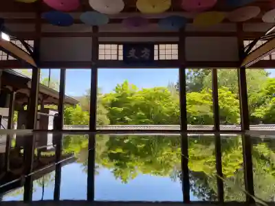 宝徳寺の{uncategorized: "未分類", other: "その他", undefined: "問題あり", building: "その他建物", grave: "お墓", sacred_gate: "鳥居", guardian: "狛犬", statue: "像", buddha: "仏像", history: "歴史", nature: "自然", garden: "庭園", animal: "動物", pagoda: "塔", temizu: "手水舎", mountain_gate: "山門・神門", sanctuary: "本殿・本堂", subordinate: "末社・摂社", art: "芸術", scenery: "景色", jizo: "地蔵", ema: "絵馬", goshuin: "御朱印", omikuji: "おみくじ", items: "授与品その他", amulet: "お守り", goshuincho: "御朱印帳", eats: "食事", festival: "お祭り", votive_dance: "神楽", shichigosan: "七五三参", wedding: "結婚式", experience: "体験その他", initially: "初詣", around: "周辺", anti_infection: "感染症対策"}