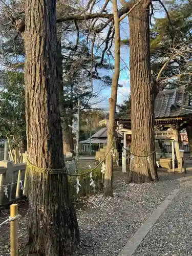 玉前神社(千葉県)