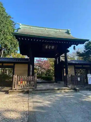 豪徳寺の山門・神門