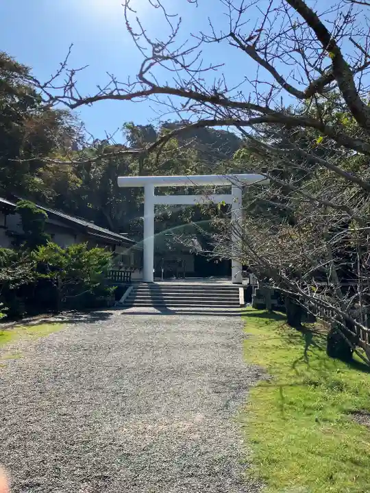 安房神社(千葉県)