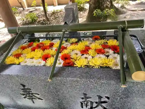 現人神社の{uncategorized: "未分類", other: "その他", undefined: "問題あり", building: "その他建物", grave: "お墓", sacred_gate: "鳥居", guardian: "狛犬", statue: "像", buddha: "仏像", history: "歴史", nature: "自然", garden: "庭園", animal: "動物", pagoda: "塔", temizu: "手水舎", mountain_gate: "山門・神門", sanctuary: "本殿・本堂", subordinate: "末社・摂社", art: "芸術", scenery: "景色", jizo: "地蔵", ema: "絵馬", goshuin: "御朱印", omikuji: "おみくじ", items: "授与品その他", amulet: "お守り", goshuincho: "御朱印帳", eats: "食事", festival: "お祭り", votive_dance: "神楽", shichigosan: "七五三参", wedding: "結婚式", experience: "体験その他", initially: "初詣", around: "周辺", anti_infection: "感染症対策"}