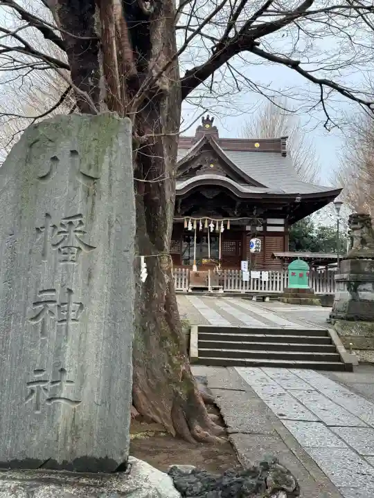 滝野川八幡神社の{uncategorized: "未分類", other: "その他", undefined: "問題あり", building: "その他建物", grave: "お墓", sacred_gate: "鳥居", guardian: "狛犬", statue: "像", buddha: "仏像", history: "歴史", nature: "自然", garden: "庭園", animal: "動物", pagoda: "塔", temizu: "手水舎", mountain_gate: "山門・神門", sanctuary: "本殿・本堂", subordinate: "末社・摂社", art: "芸術", scenery: "景色", jizo: "地蔵", ema: "絵馬", goshuin: "御朱印", omikuji: "おみくじ", items: "授与品その他", amulet: "お守り", goshuincho: "御朱印帳", eats: "食事", festival: "お祭り", votive_dance: "神楽", shichigosan: "七五三参", wedding: "結婚式", experience: "体験その他", initially: "初詣", around: "周辺", anti_infection: "感染症対策"}