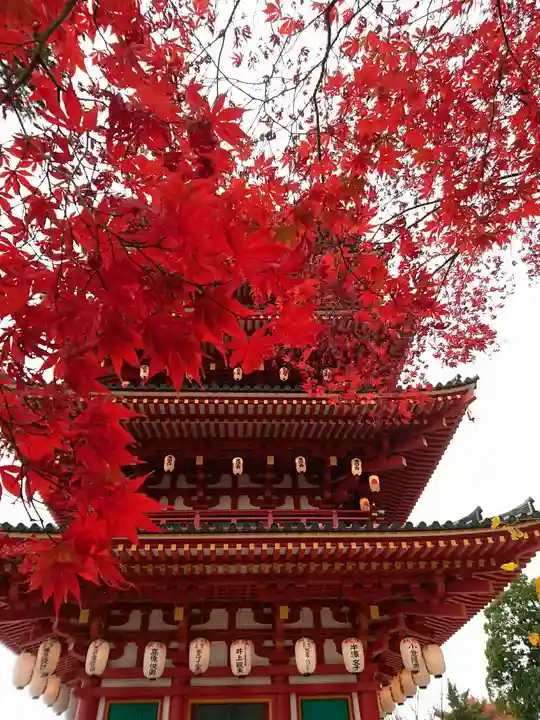 高幡不動尊 金剛寺の御朱印